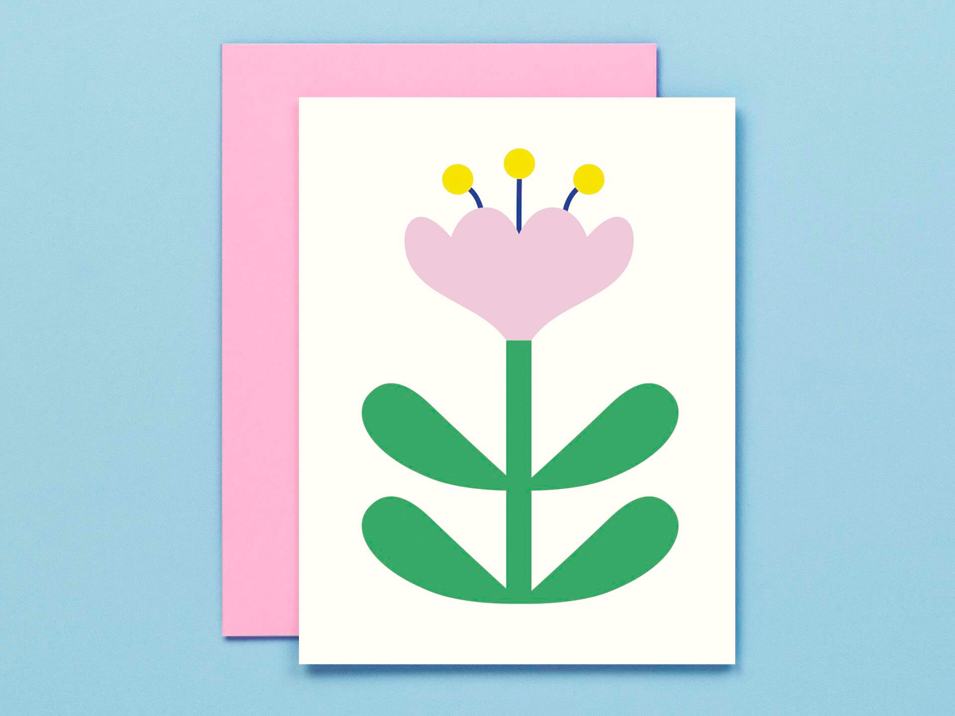 Flower Friend No. 3, Crocus Madame