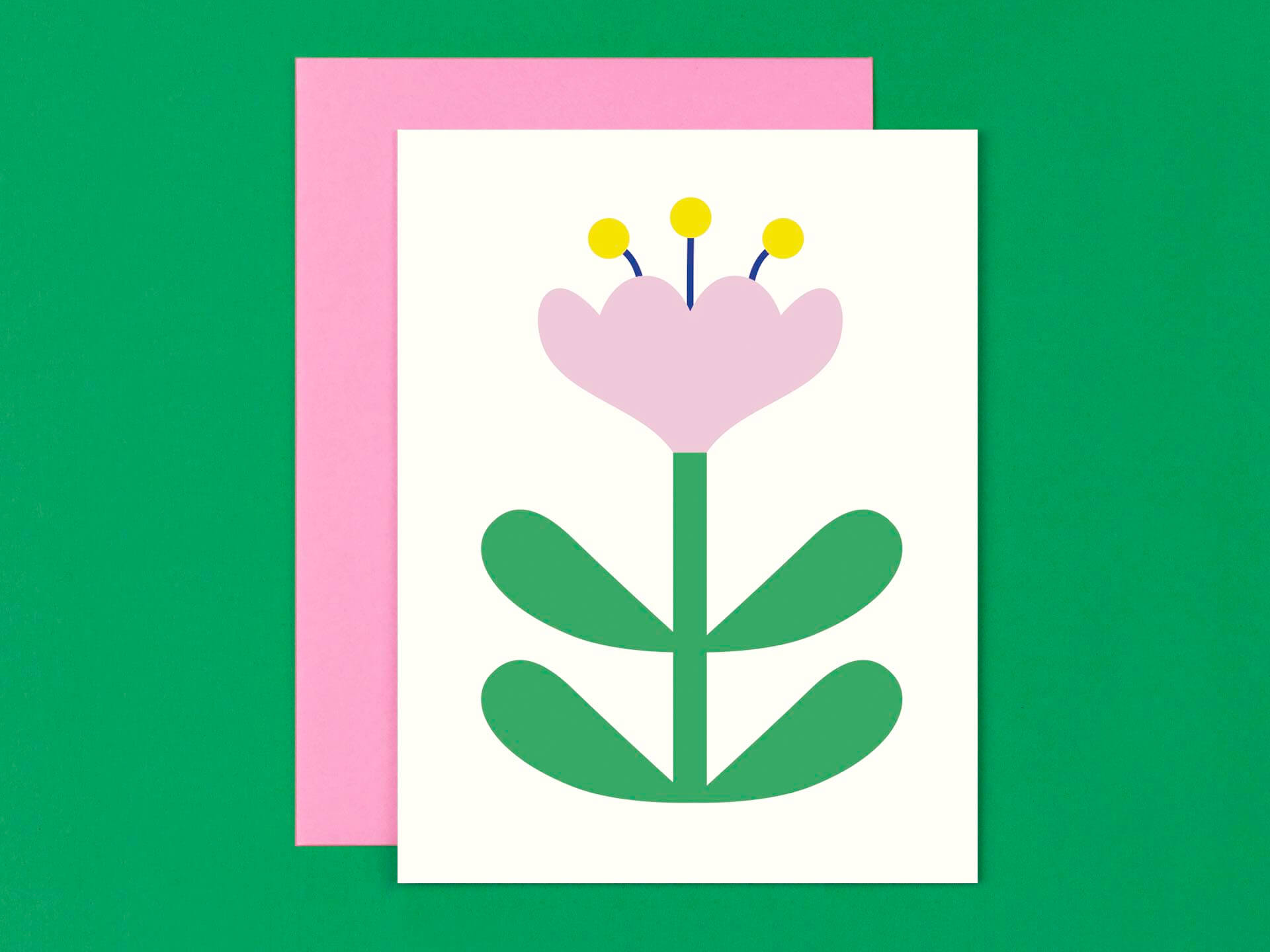 Flower Friend No. 3, Crocus Madame