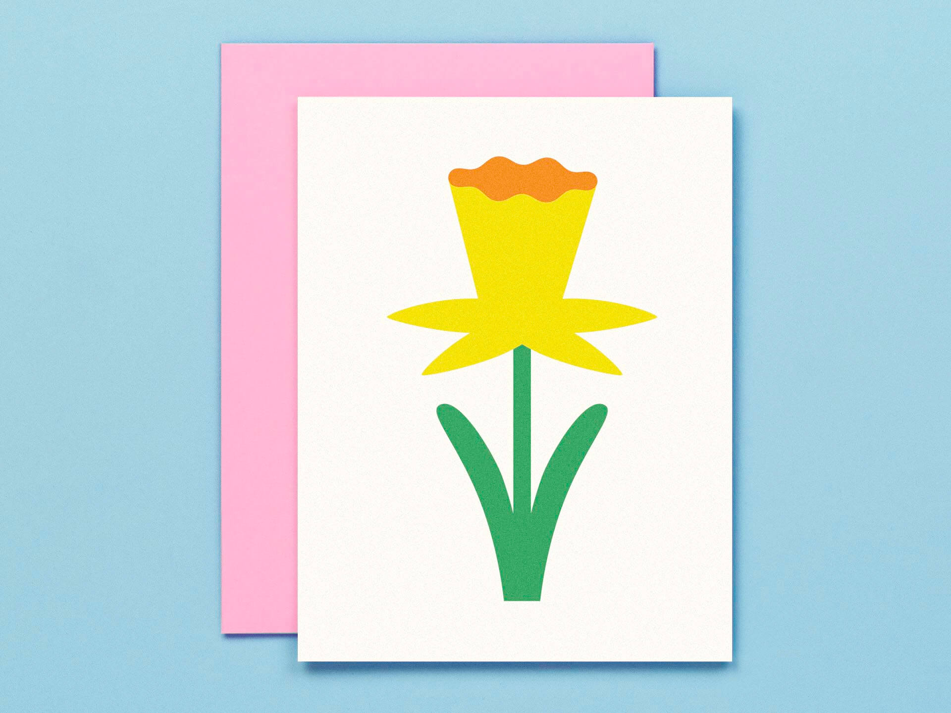 Flower Friend No. 5, Darlin' Daphne