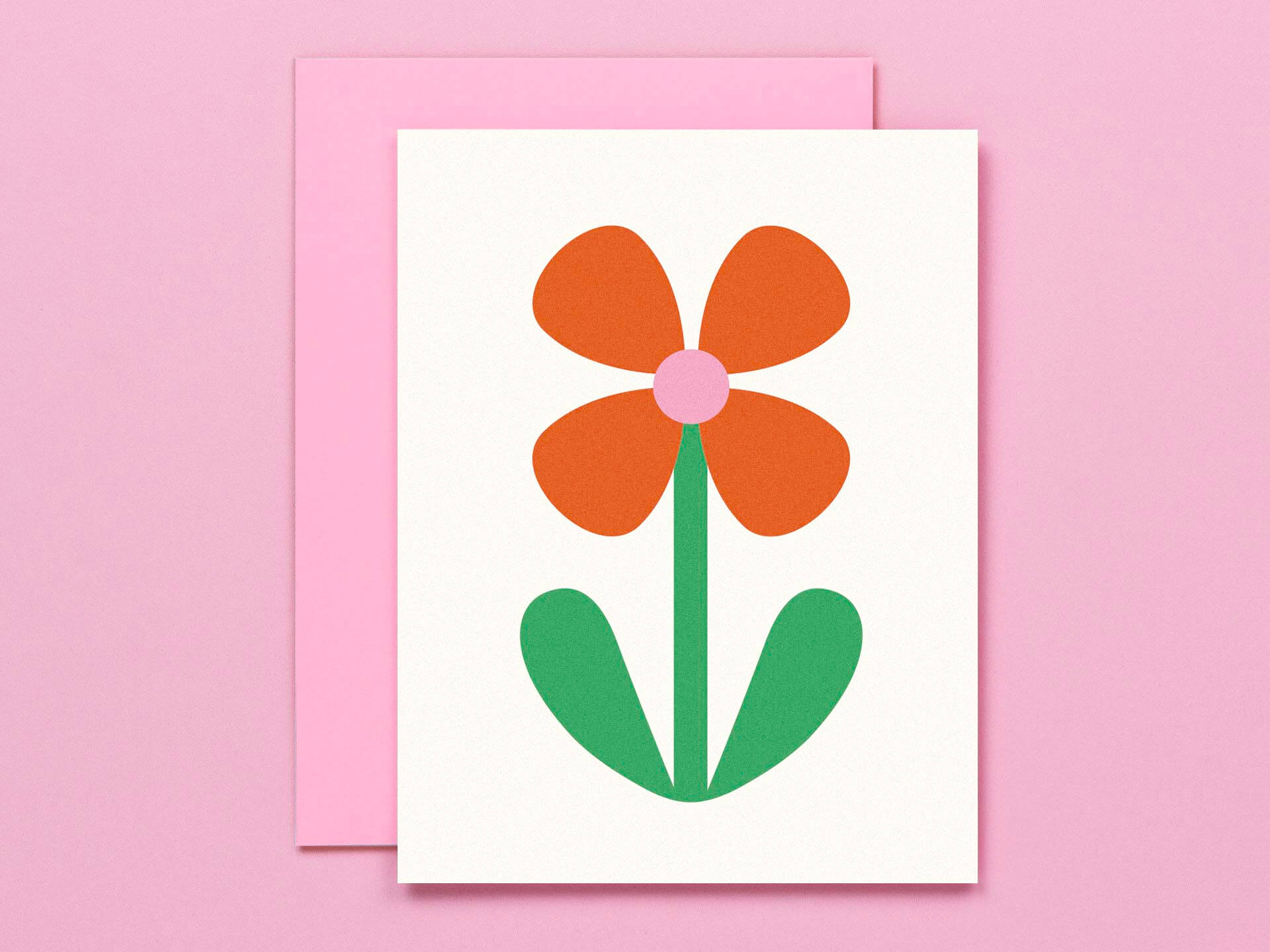 Flower Friend No. 7, Sweetie