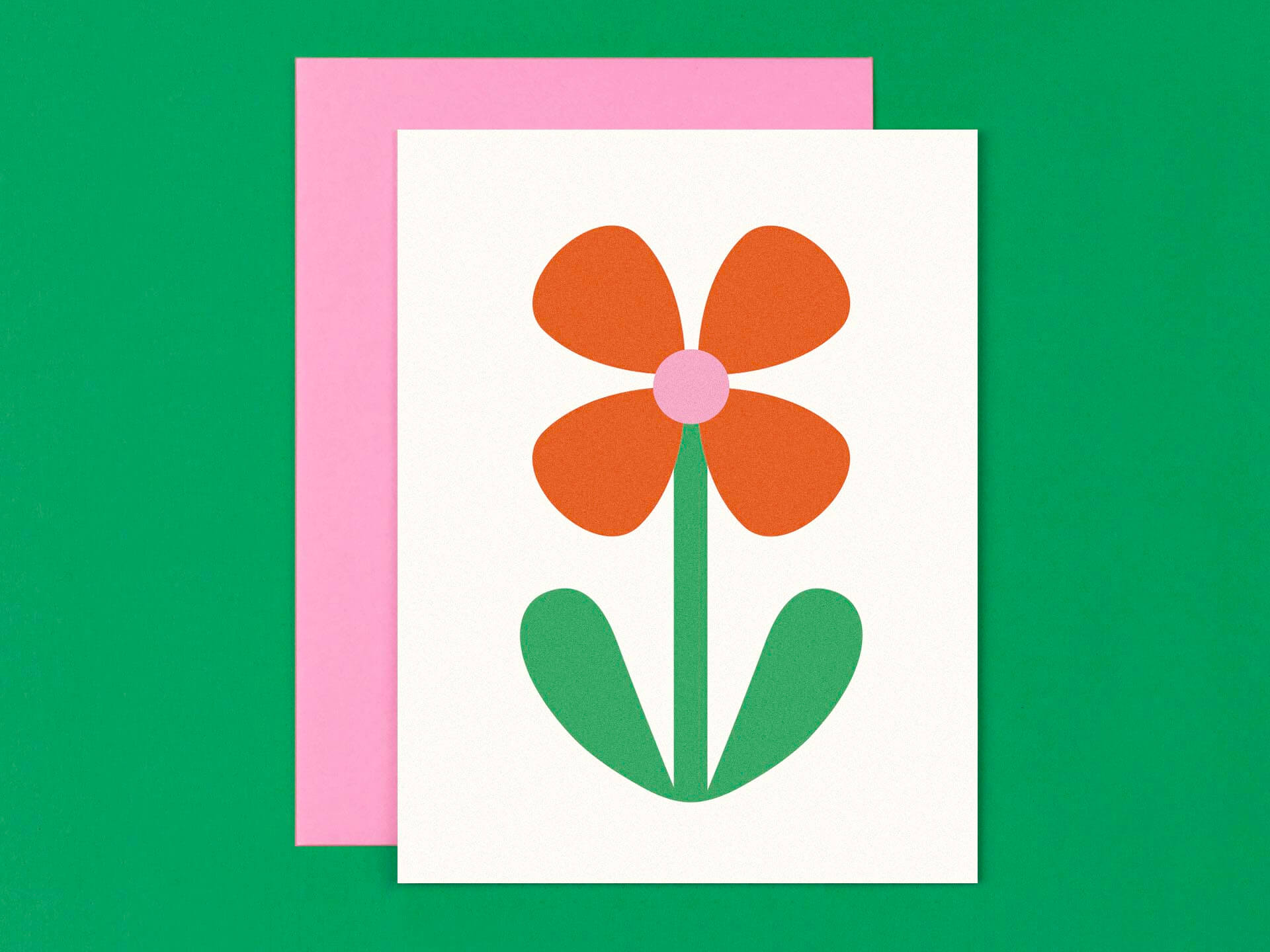 Flower Friend No. 7, Sweetie