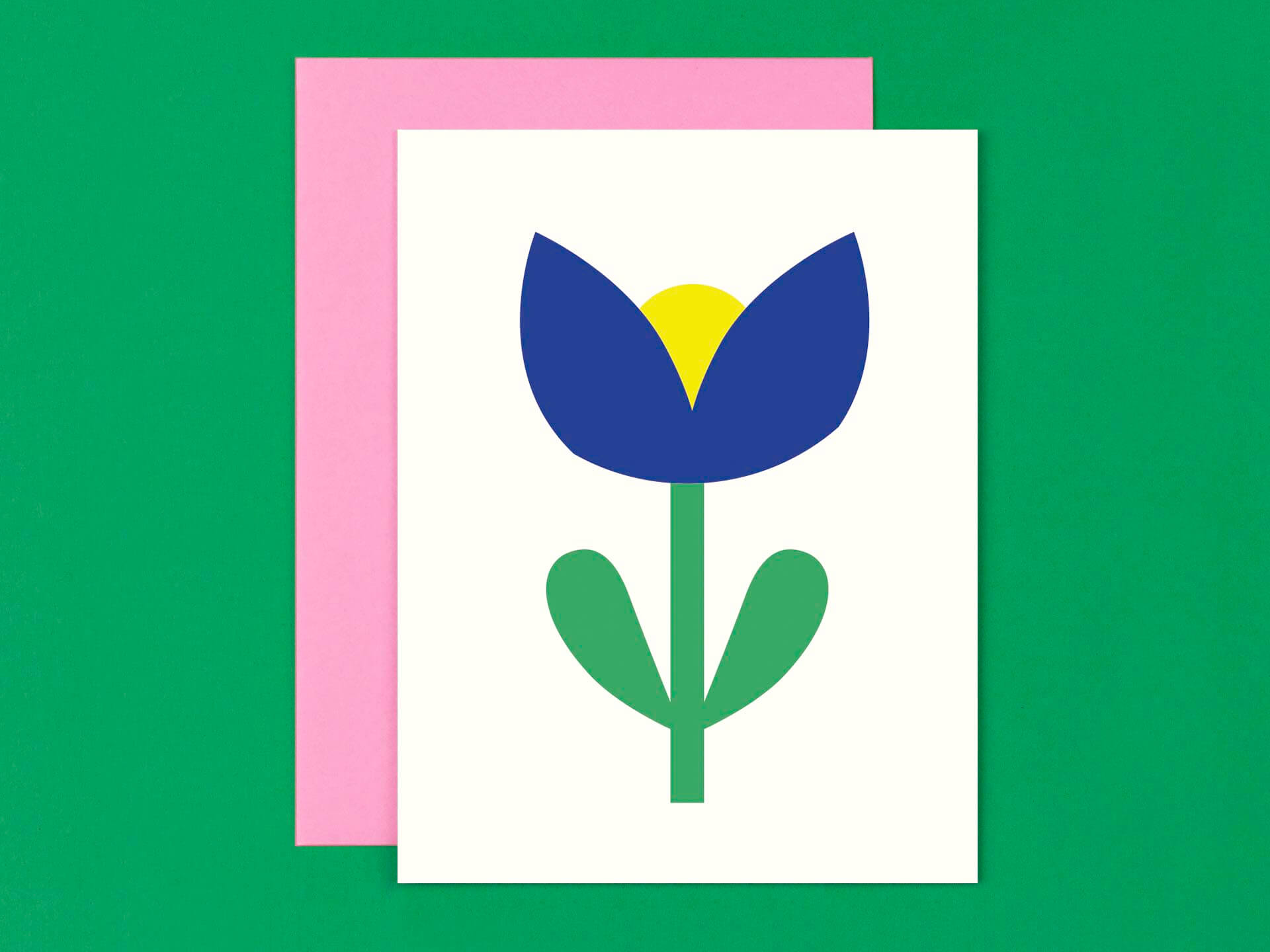 Flower Friend No. 8, Tui