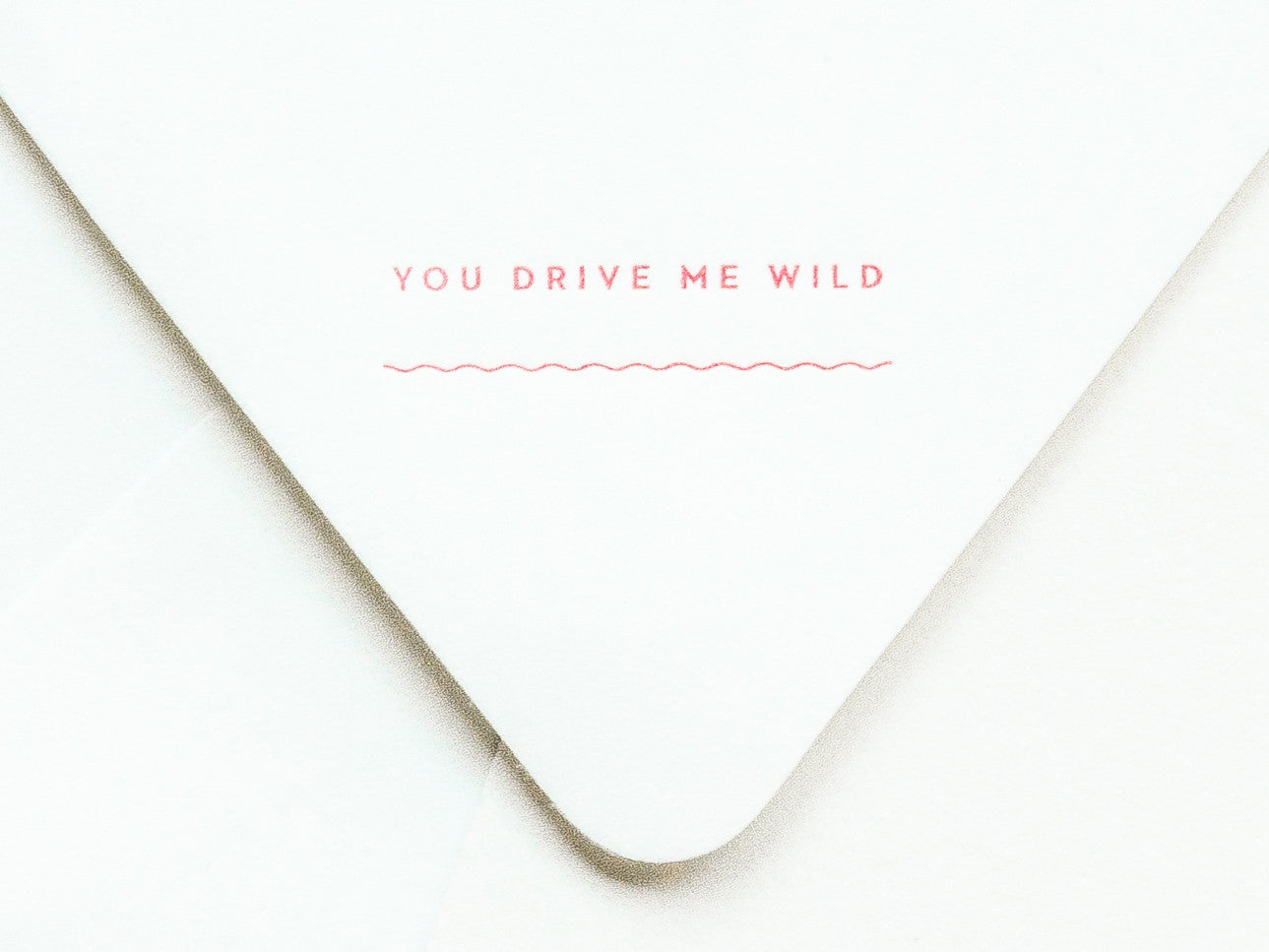 You Drive Me Wild Notevelope & Sporty Car Notecard